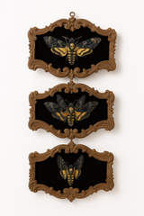 Dark Academia Moth Hanging Lenticular Halloween Decoration