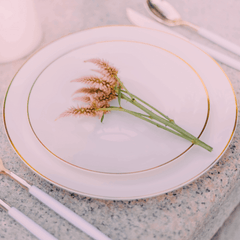 10 In. Ivory Classic Design Plates | 10 Count