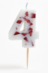 Ginger Ray Pressed Petal Number 4 Birthday Candle