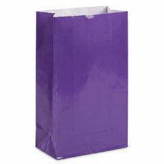 Mini Purple Glossy Paper Treat Bags - 12 Pack