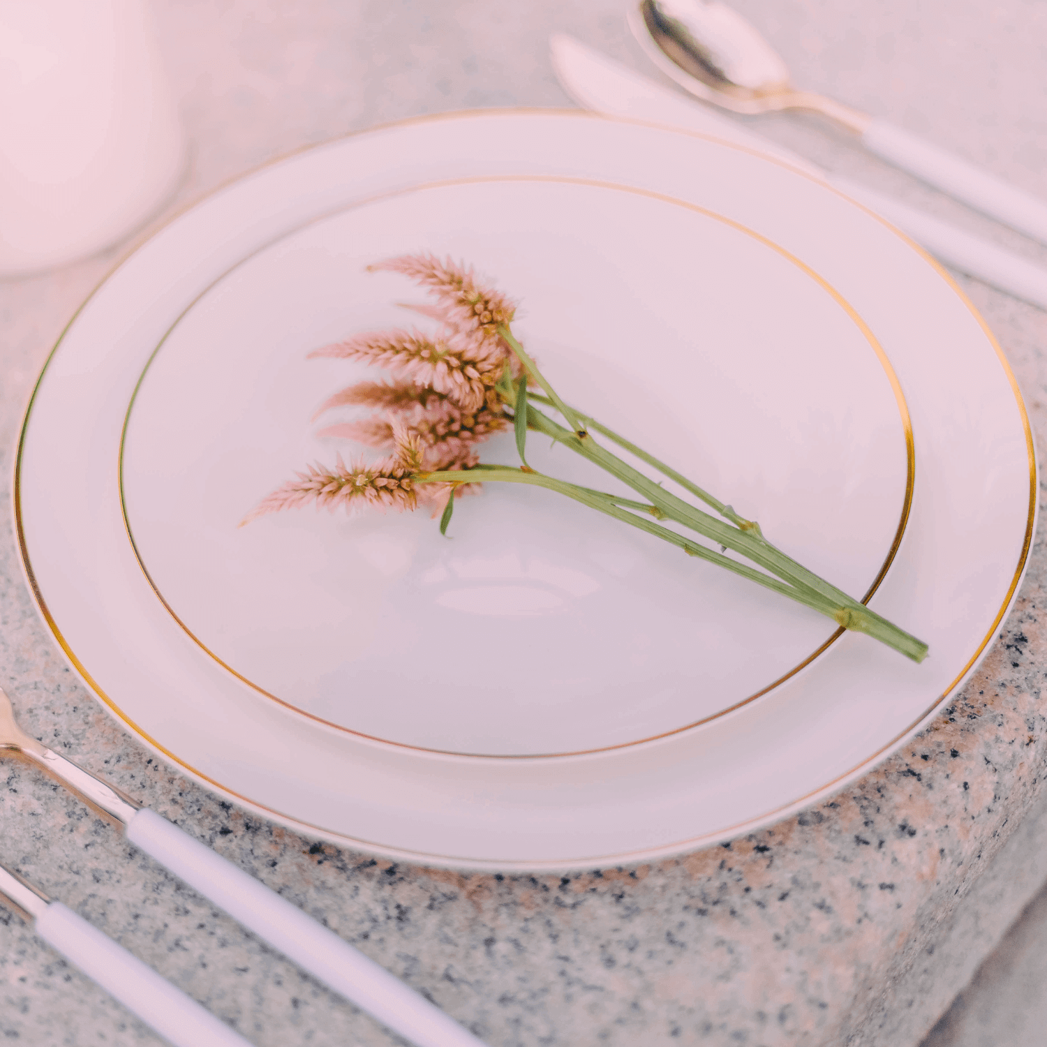 8 In. Classic Ivory Design Plastic Plates | 120 Count