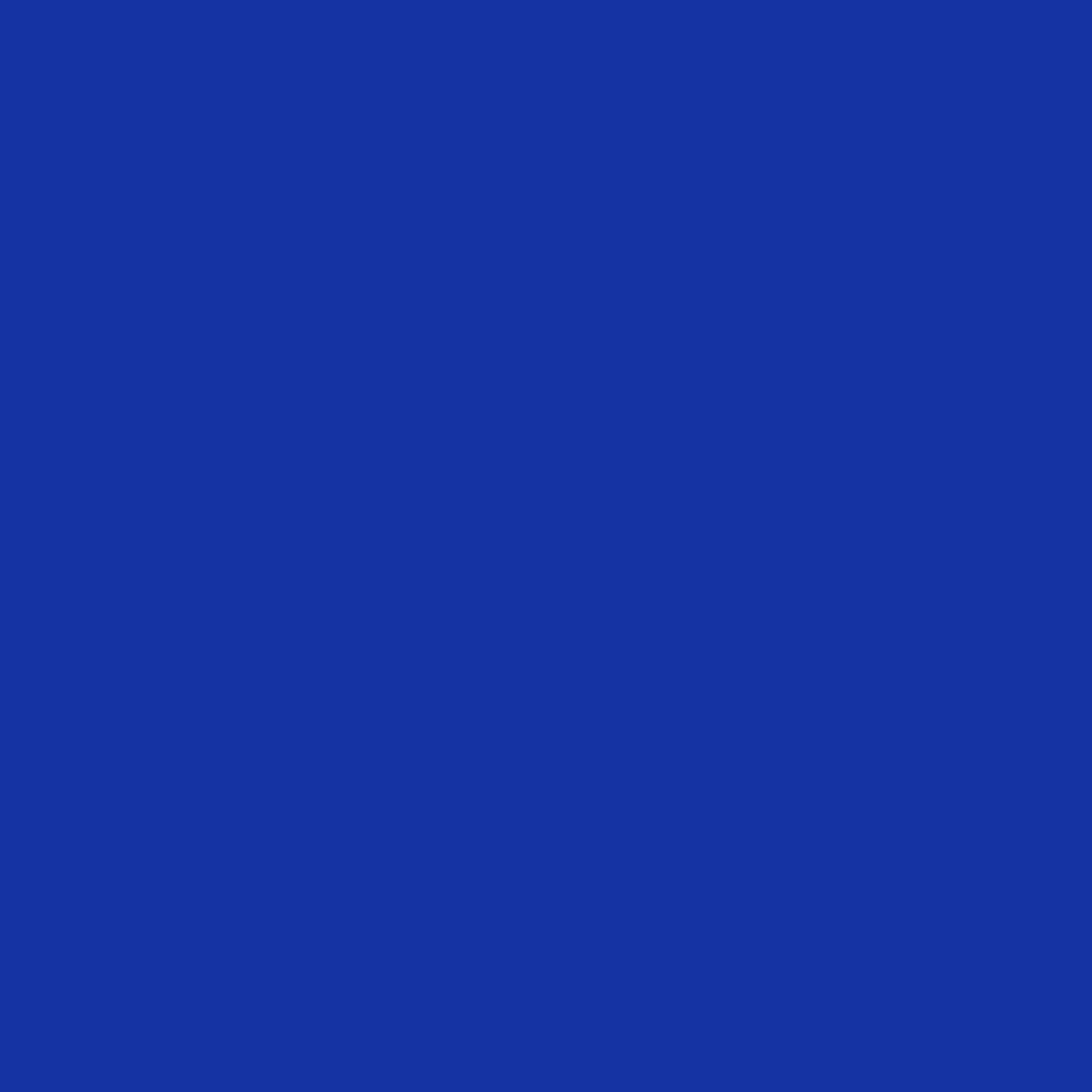 10 In. Dark Blue Paper Plates | Case of 1000