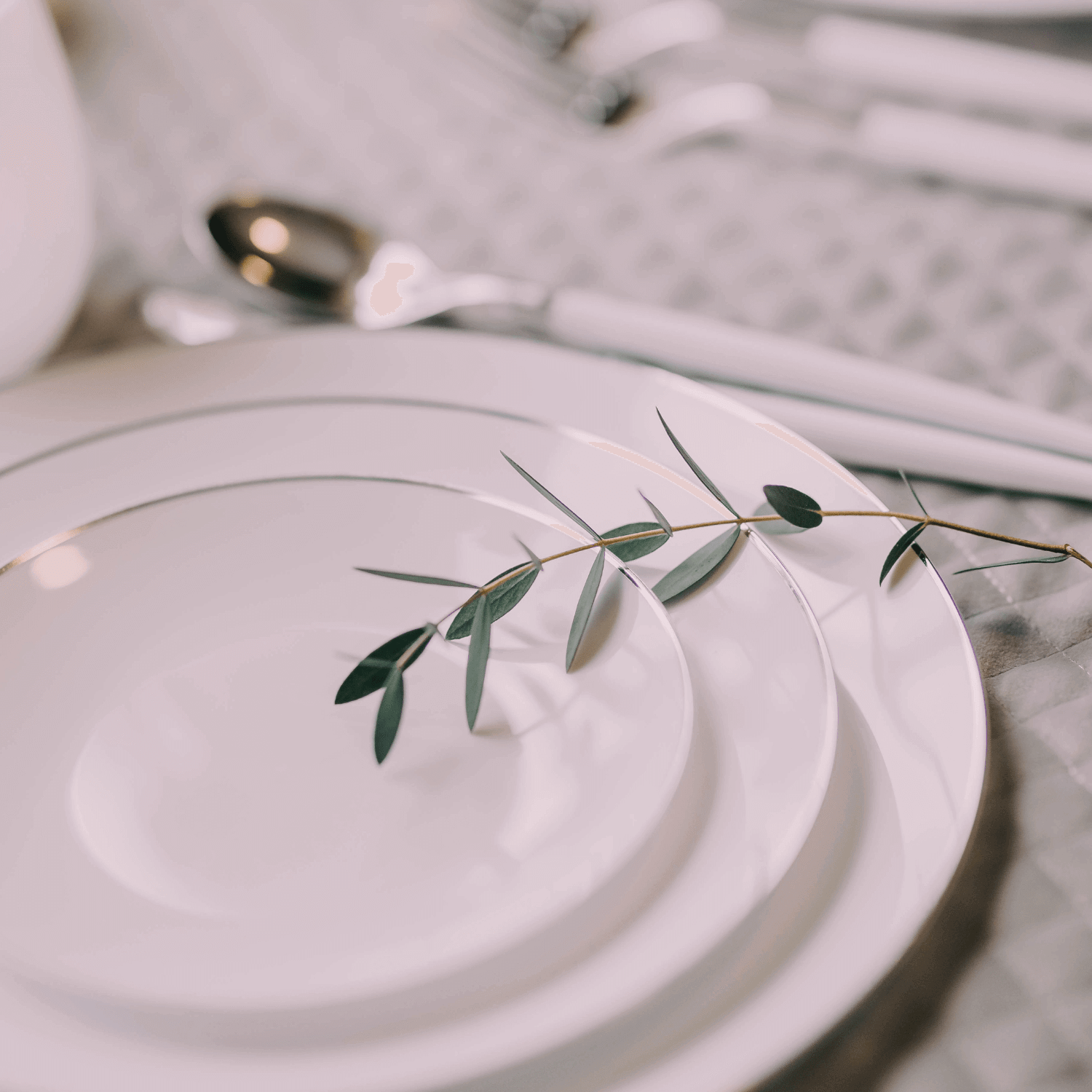 10 In. Classic Silver Design Plates | 10 Count