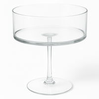 Elegant Plastic Coupe Glasses for New Year's Celebrations