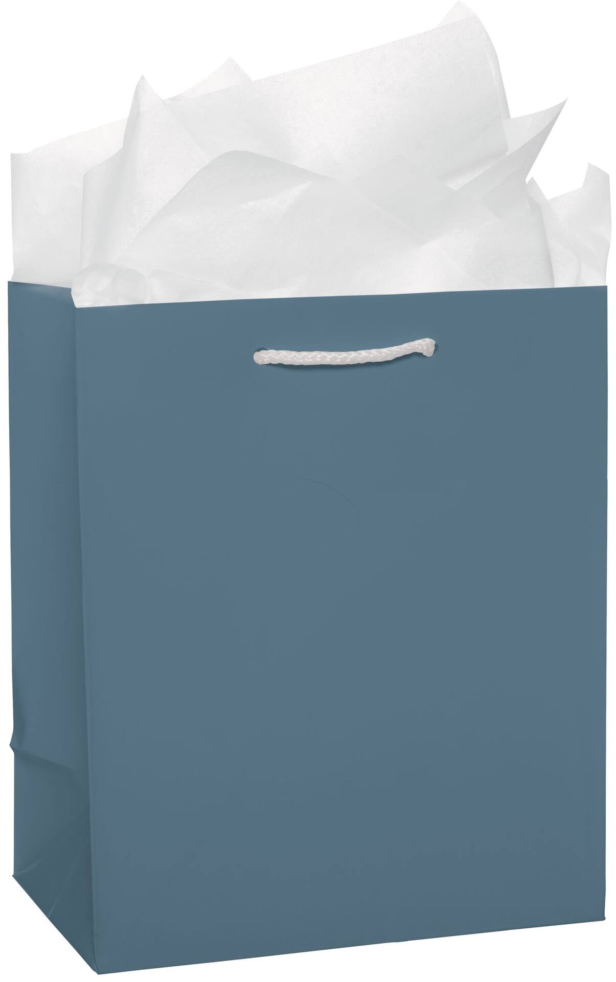 PMA - Paper Gift Bag, Assorted Colours, 9.5-in, for Birthday/Valentine's Day/Easter/Baby Shower