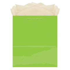 Urban Air - Paper Gift Bag, Assorted Colours, 9.5-in, for Birthday/Valentine's Day/Easter/Baby Shower