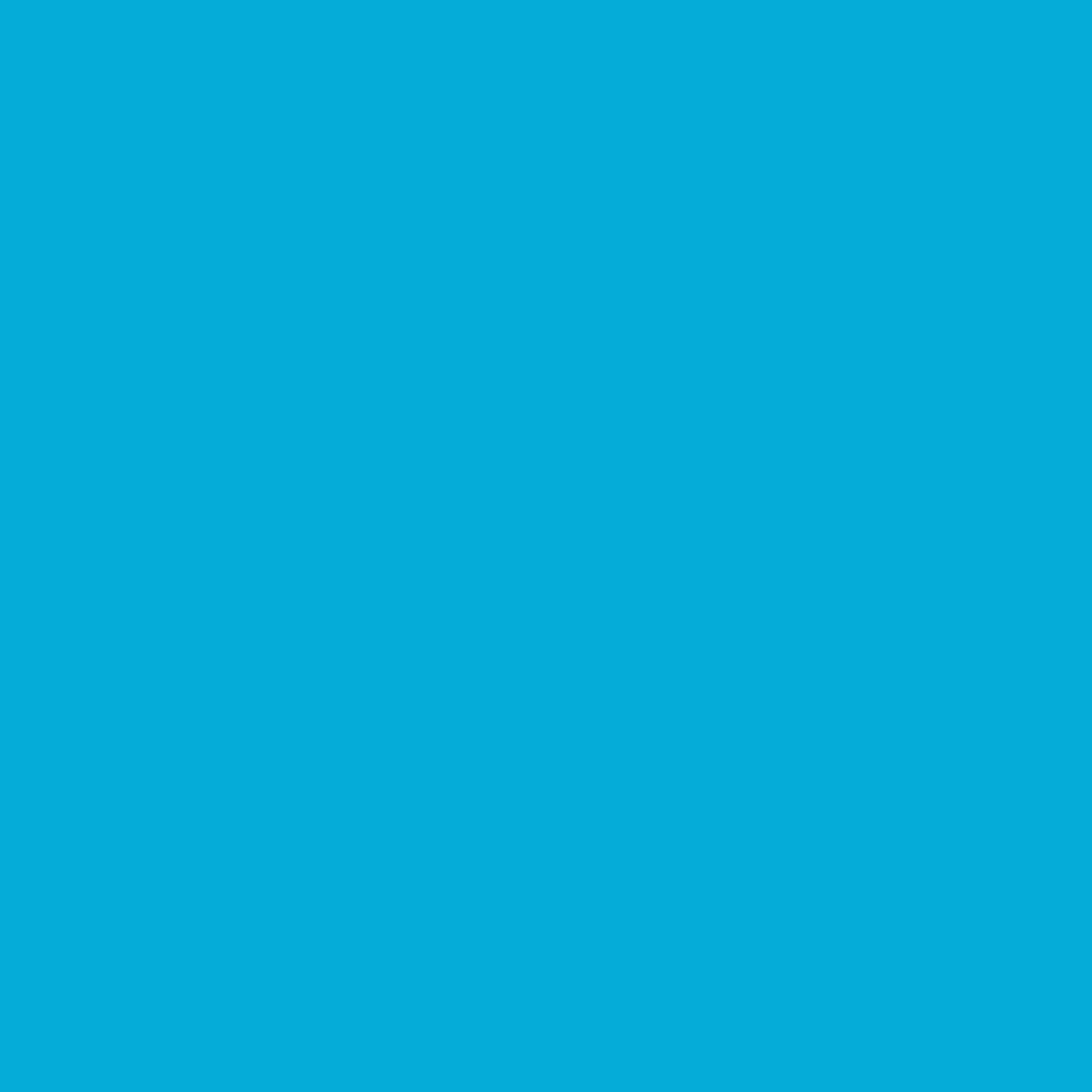 Turquoise Dinner Napkins - 50 Ct.