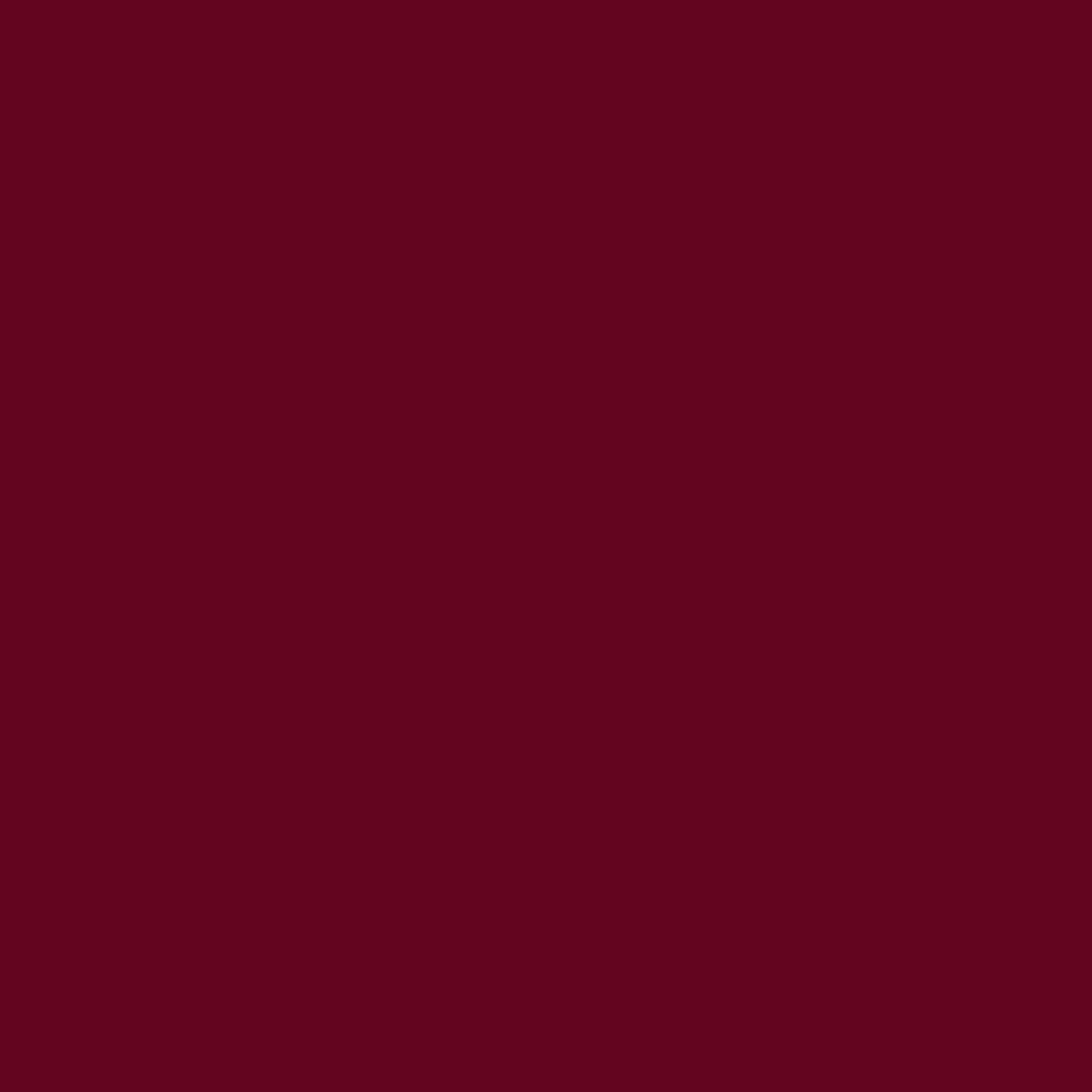 Burgundy Dinner Napkins - 50 Ct.