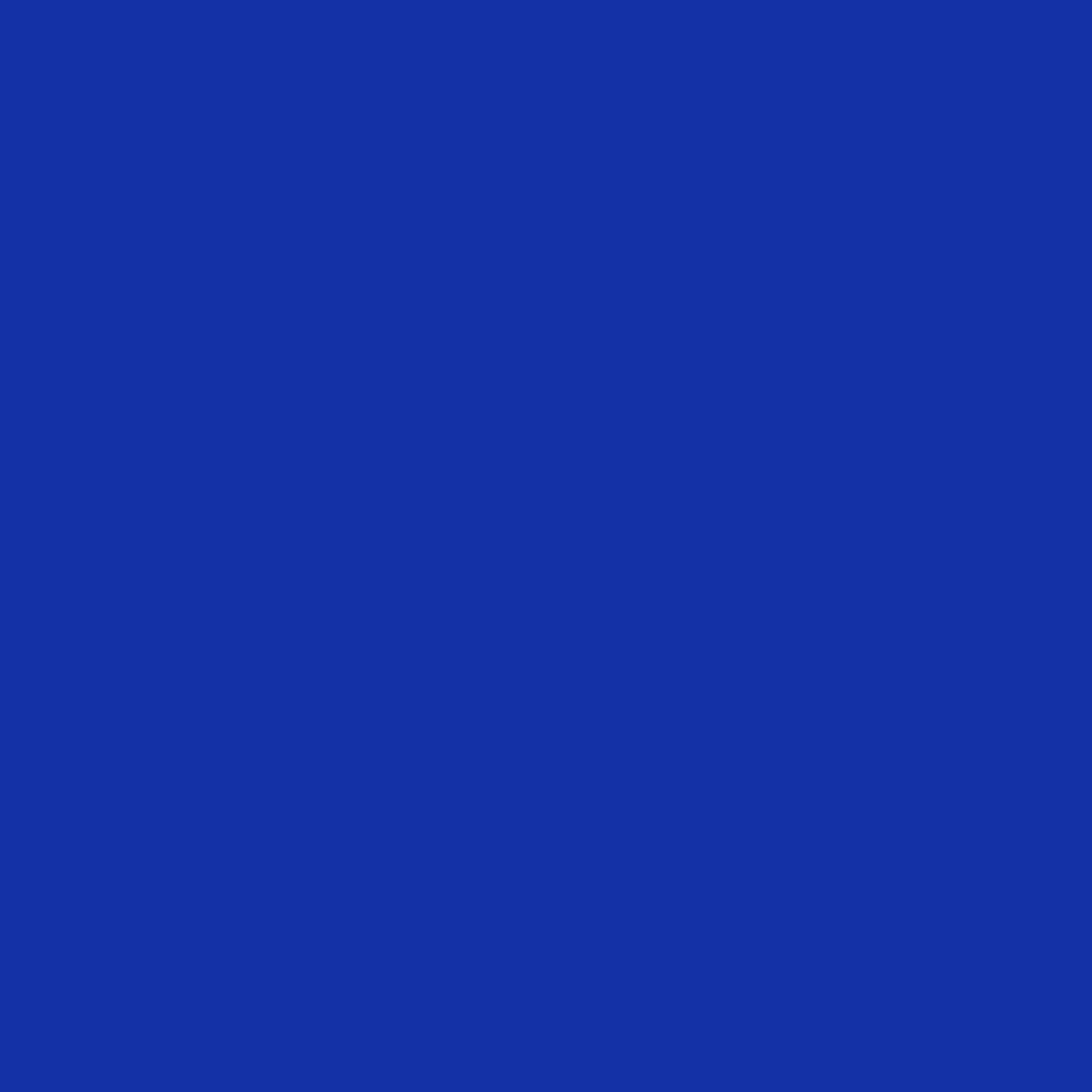 Dark Blue Dinner Napkins - 50 Ct.