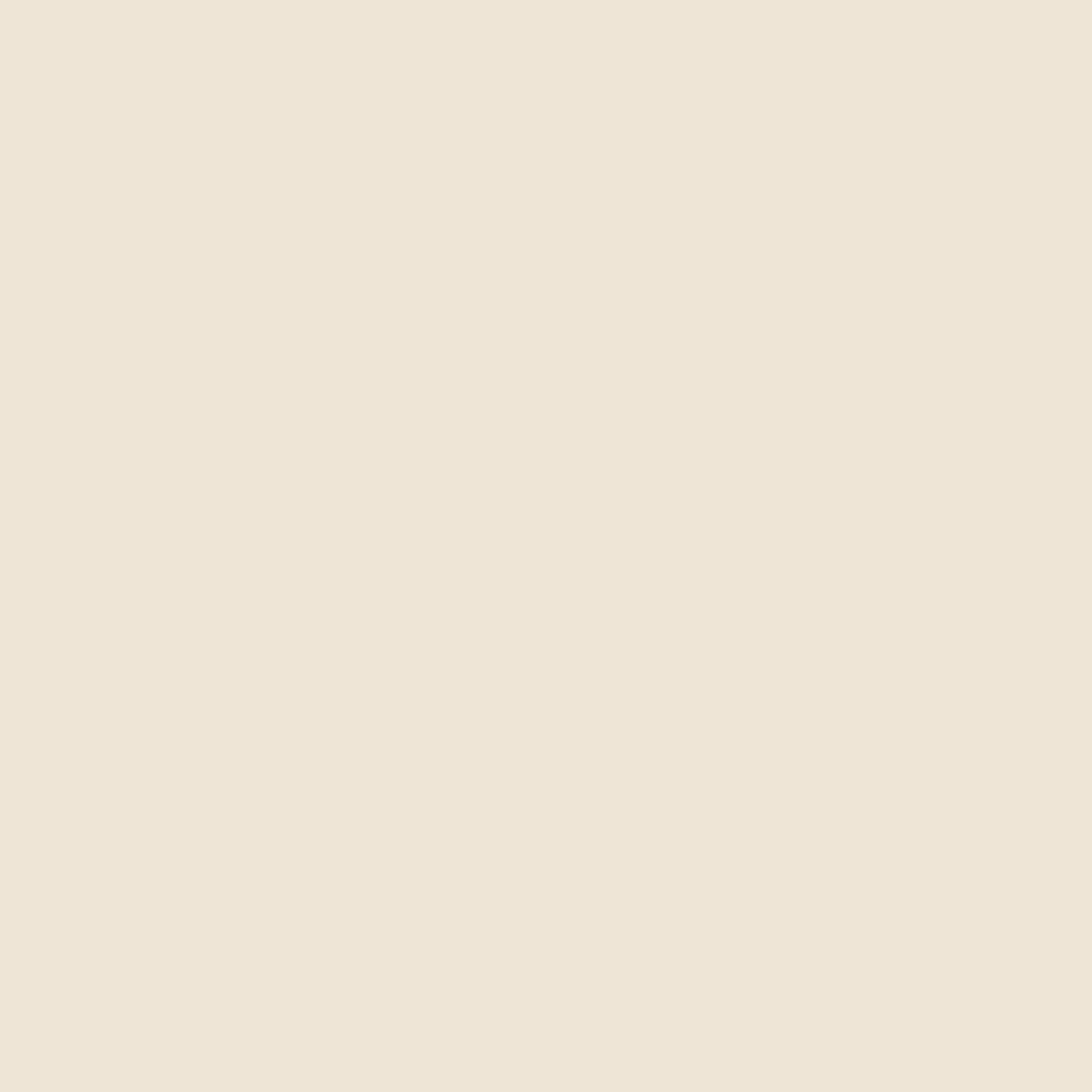 Ivory Dinner Napkins - 50 Ct.