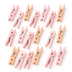 Pink Multi-Colored Mini Clothespin Baby Shower Favors, 24-Pack