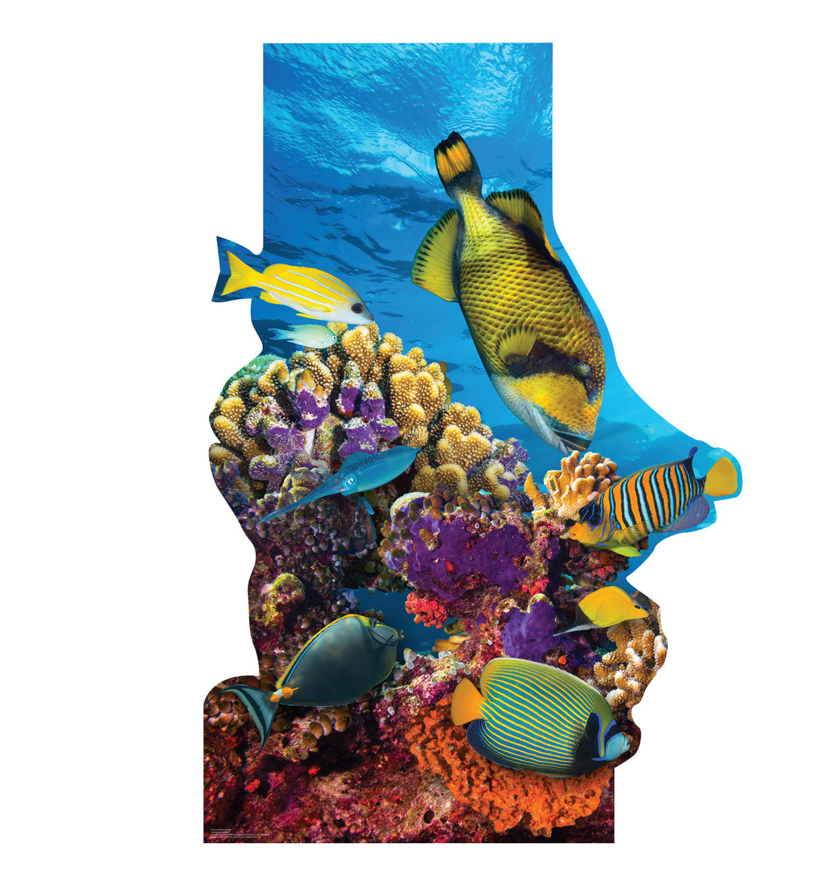 Coral Reef Standee