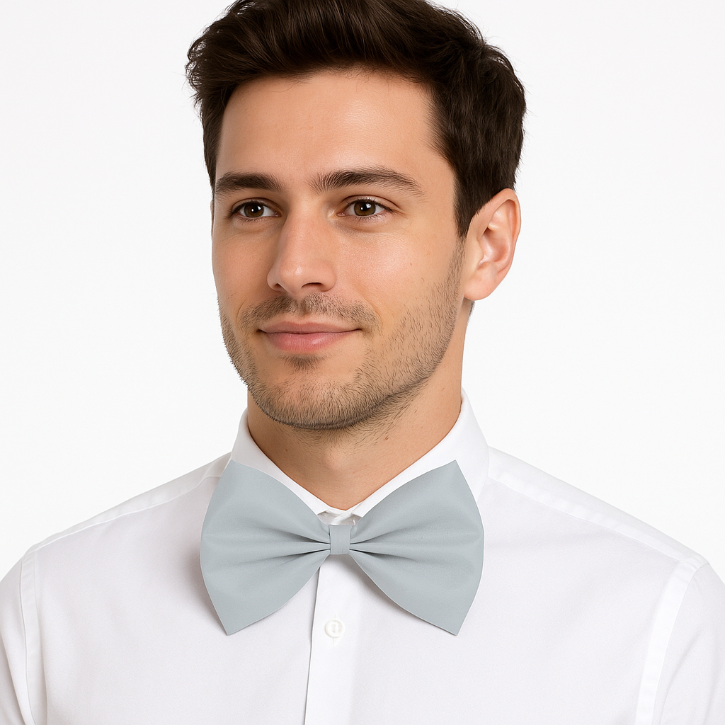 Silver Bow Tie Costume Accessory