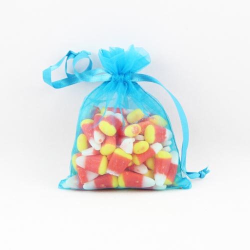 4in. x 5in. Turquoise Sheer Organza Pouch (12)
