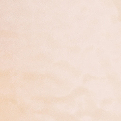 Rose/Gold Petal Plates - Combo Pack 120/120