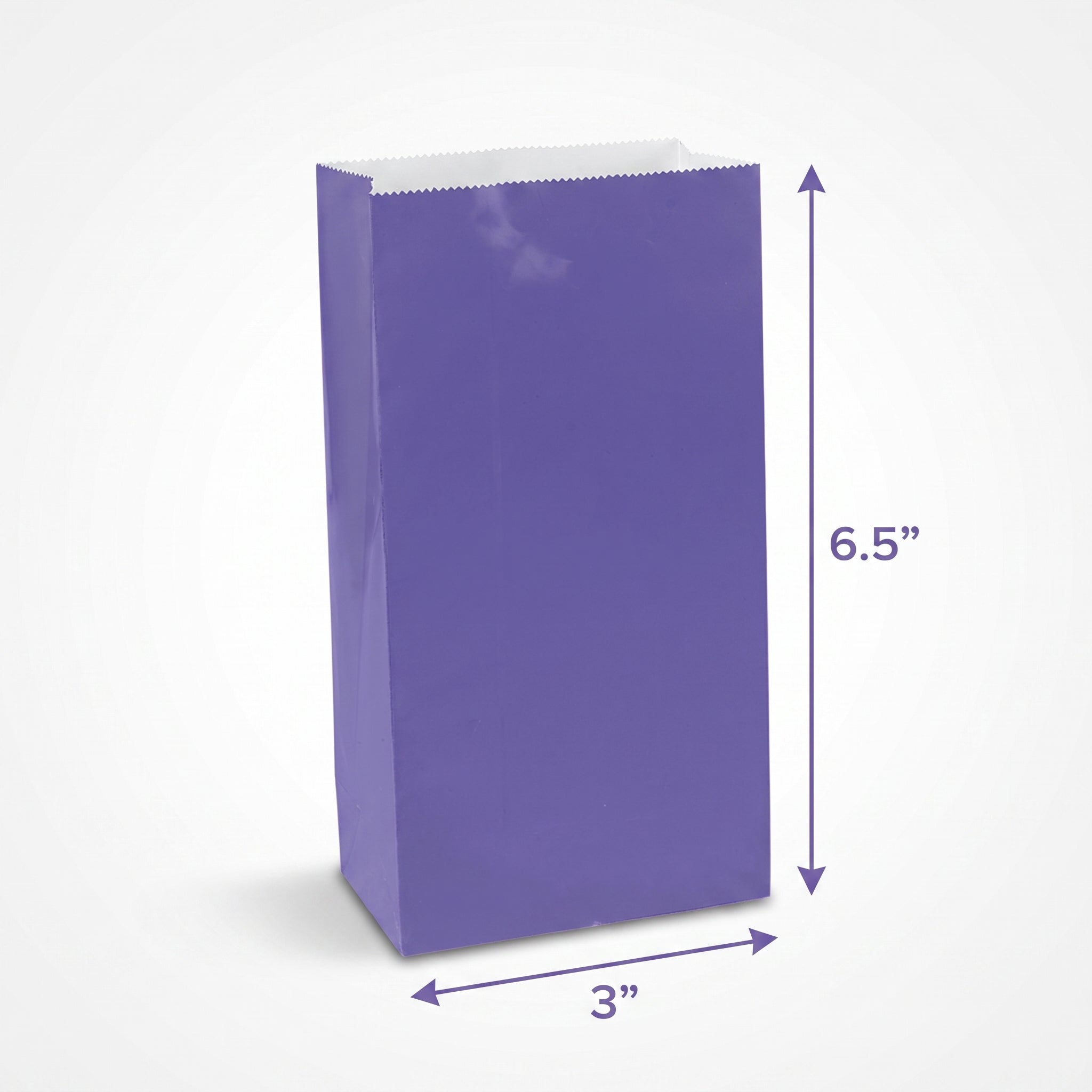 Mini Purple Glossy Paper Treat Bags - 12 Pack