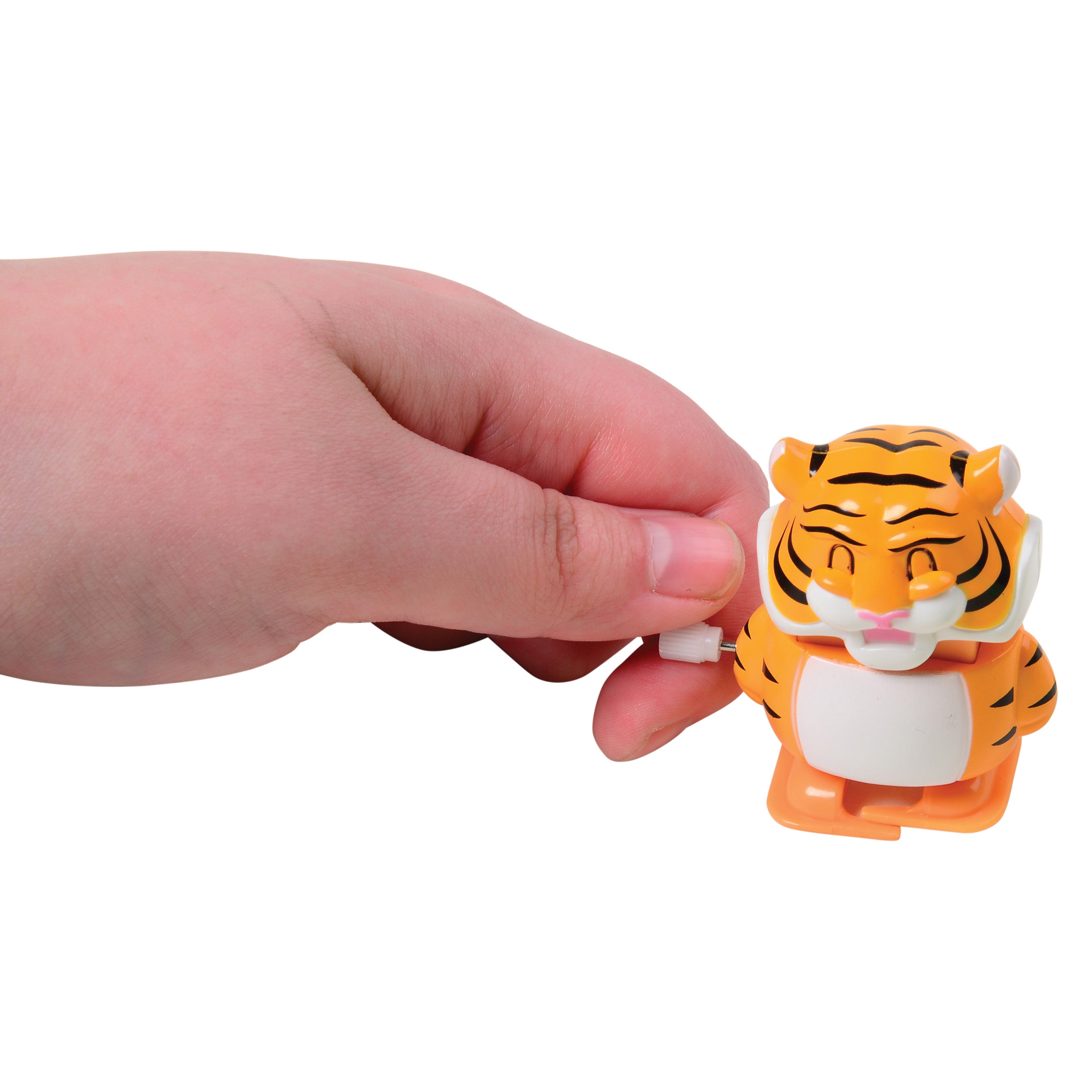 Walking Wild Animals/12 Pc Display - 12 Count