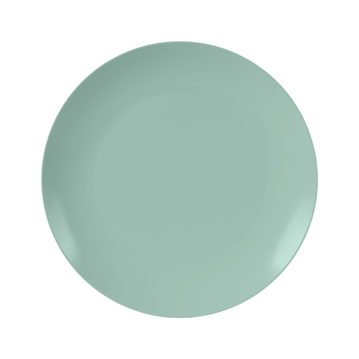 10 In. Eucalyptus Plastic Plates | 120 Count