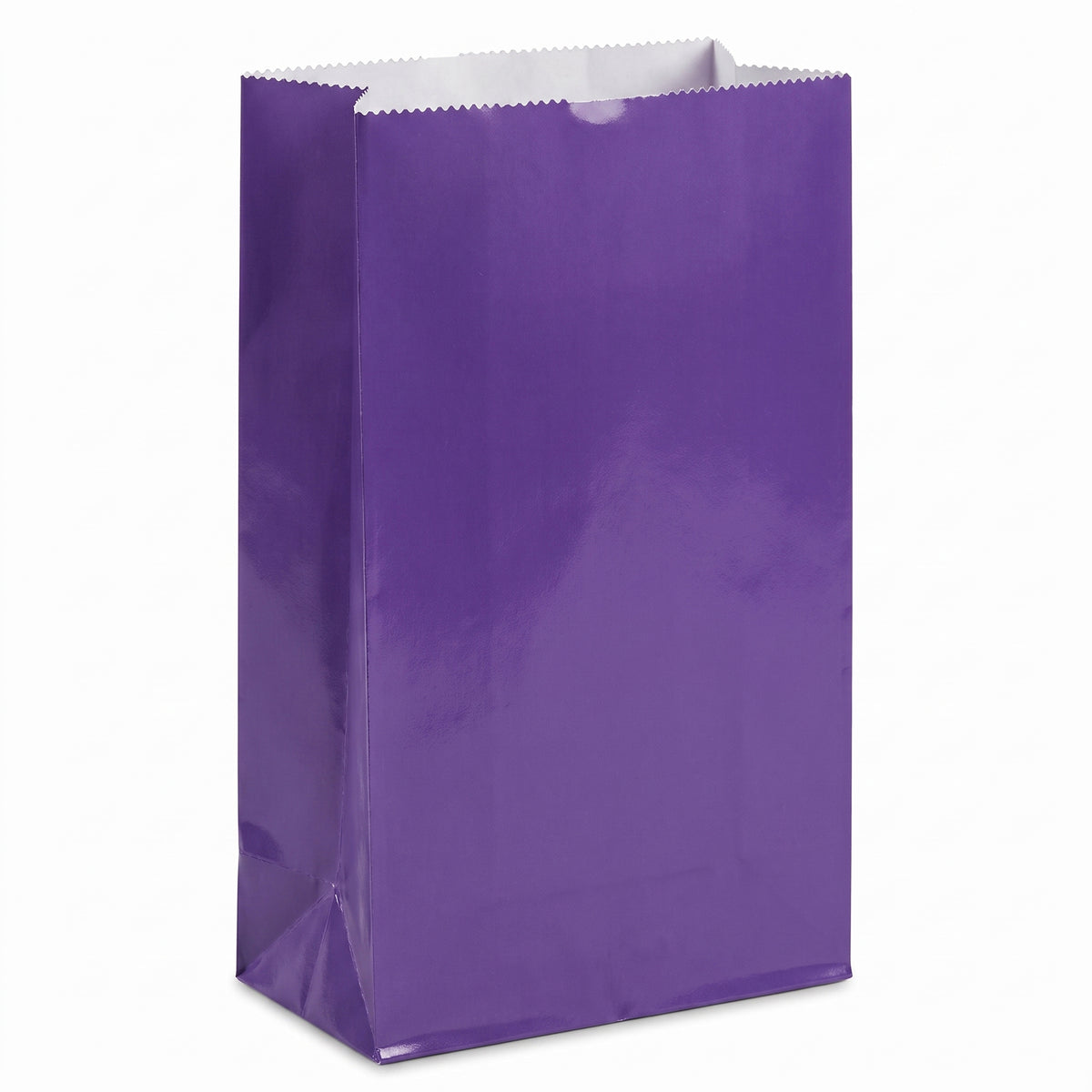 Mini Purple Glossy Paper Treat Bags - 12 Pack