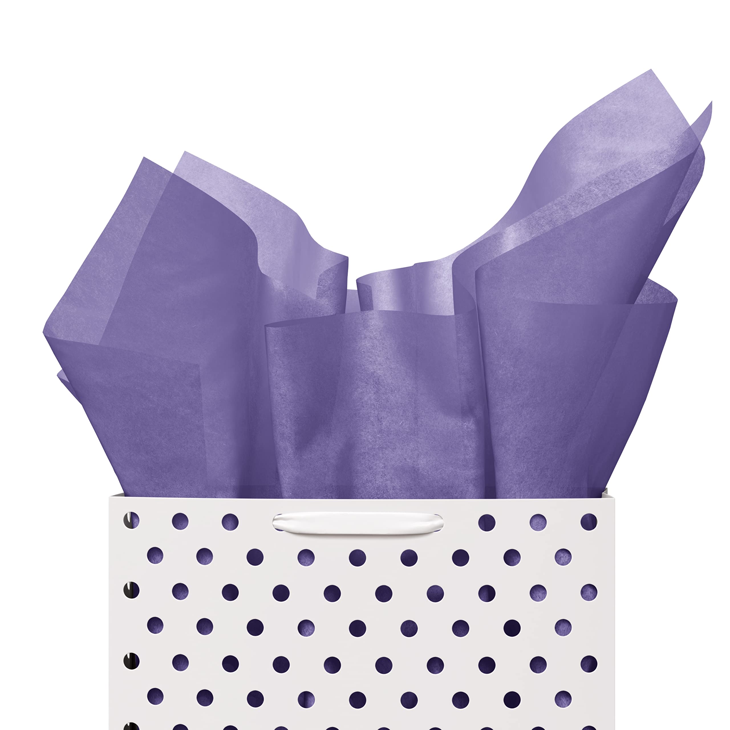 Purple Tissue Reams (480)