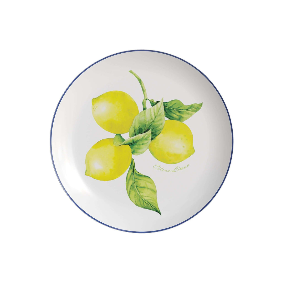 8 In. Earthtrends Tuscan Paper Plates | 120 Count
