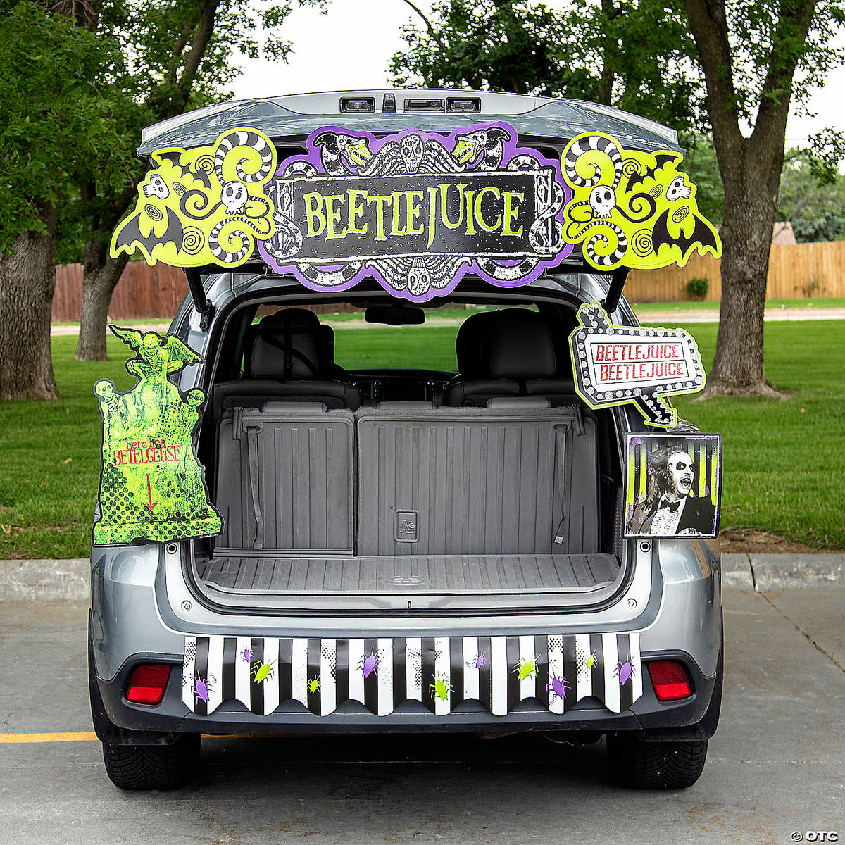 Beetle Juice Trunk or Treat Halloween Kit